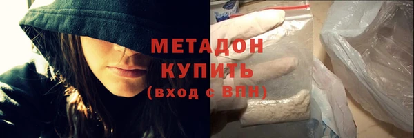 ПСИЛОЦИБИНОВЫЕ ГРИБЫ Гусев
