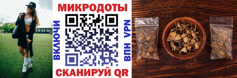 Галлюциногенные грибы Magic Shrooms  купить   МЕГА сайт  Бирюсинск 